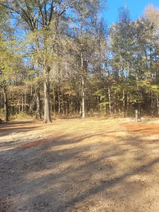 Steens RV Park Picture 1