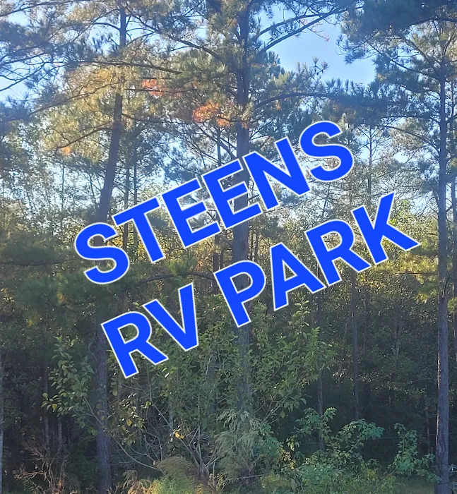 Steens RV Park Picture 2