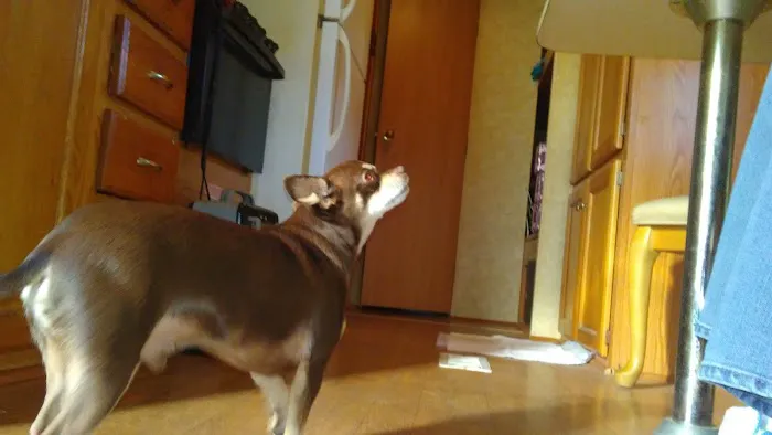 Lalman Mobile Home Park Picture 2