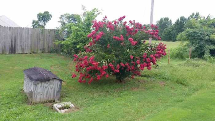 Lalman Mobile Home Park Picture 7