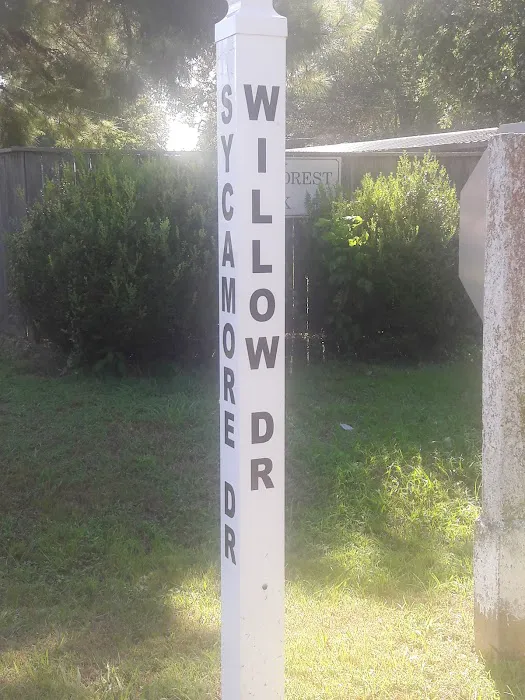 Forest Park Picture 6