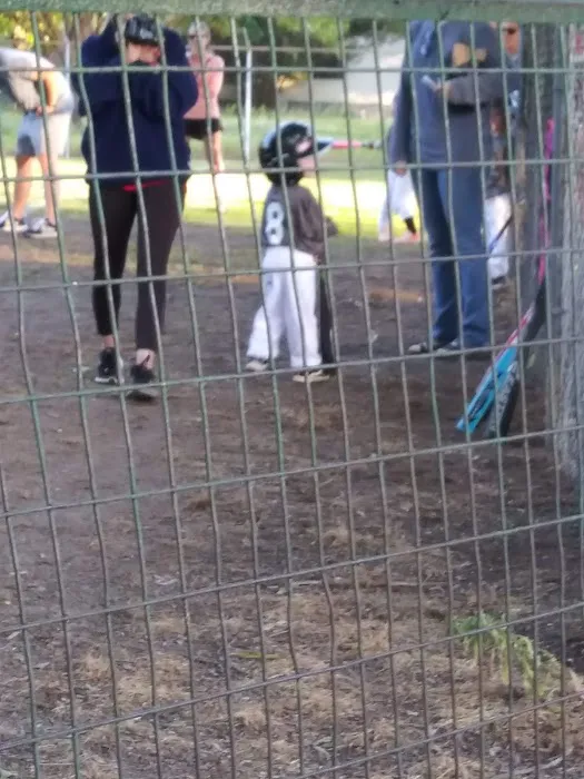 Forest Park Picture 2