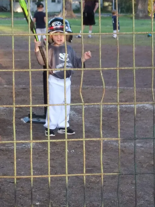 Forest Park Picture 3