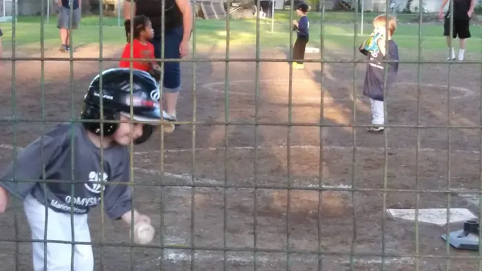 Forest Park Picture 5