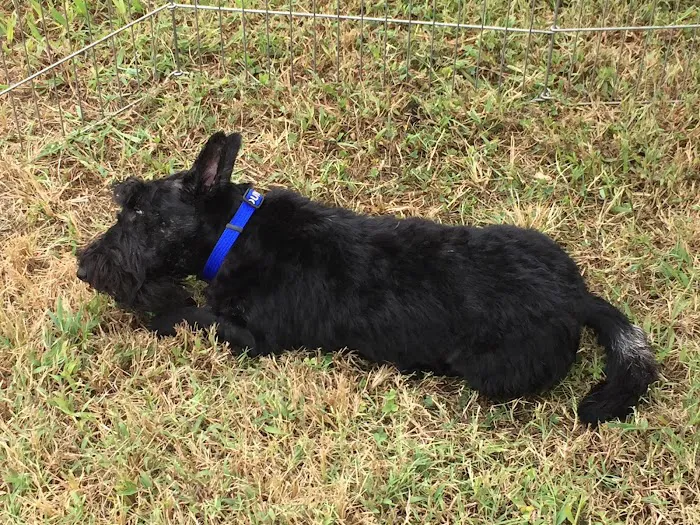 Blytheville RV Park Picture 8