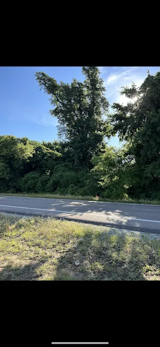 Whispering Oaks Rv Park Picture 7