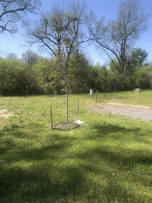 Pecan Acres RV Park Picture 6