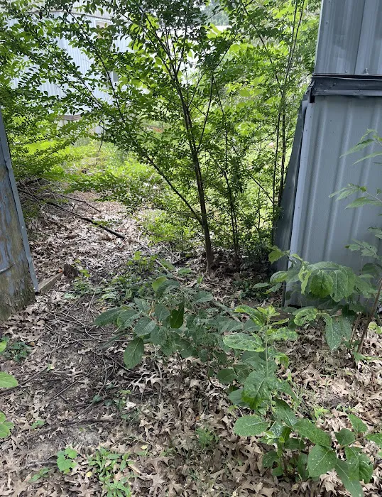 Lynchburg Mobile home village Picture 5