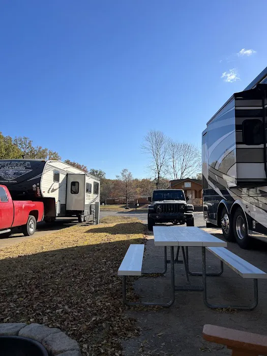 Yogi Bear's Jellystone Park Picture 2