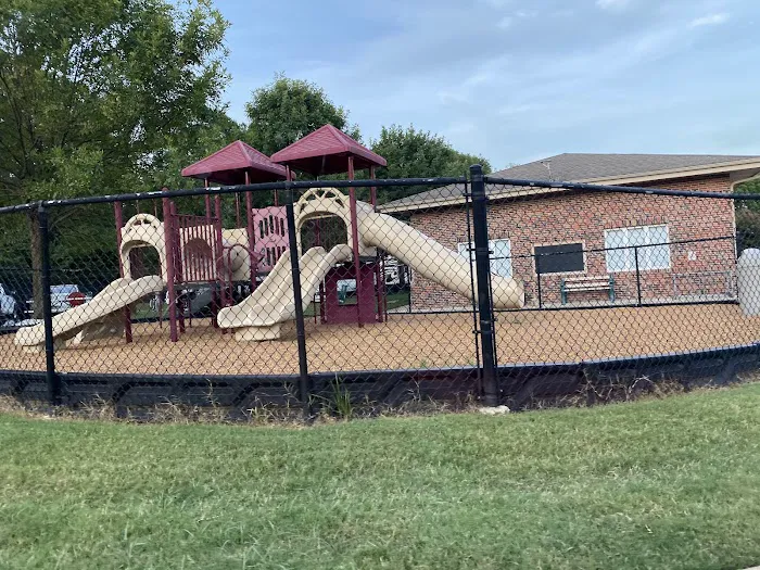 Yogi Bear's Jellystone Park Picture 4