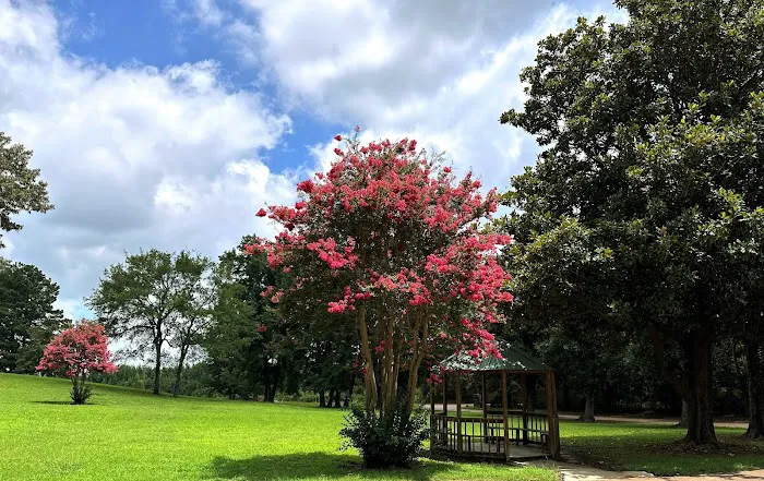 Magnolia Hills Mobile Home Community Picture 2