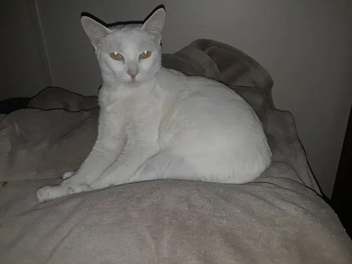 Magnolia Hills Mobile Home Community Picture 9