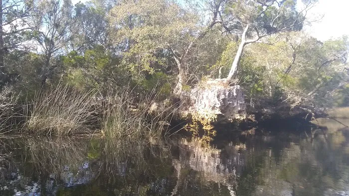 Steinhatchee Village RV Park Picture 5