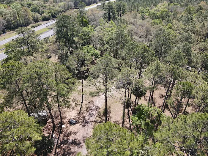Coastal River RV Resort Picture 6