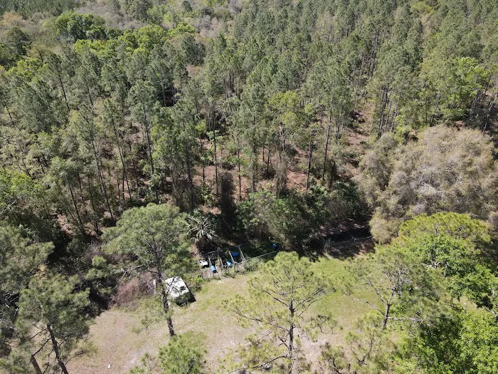 Coastal River RV Resort Picture 5