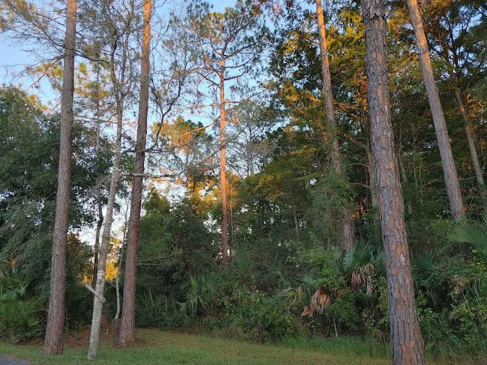 Cedar Key RV Resort Picture 8