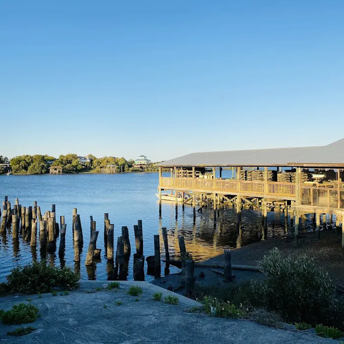 Cedar Key RV Resort Picture 10