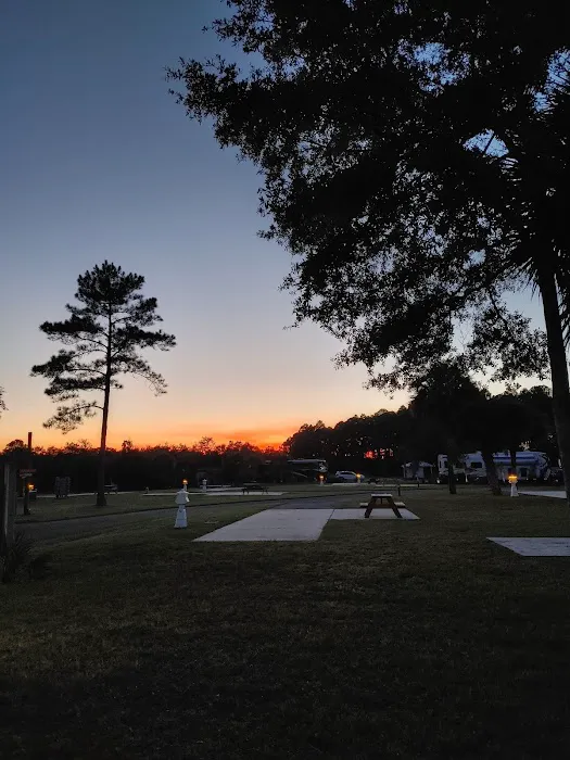 Cedar Key RV Resort Picture 7