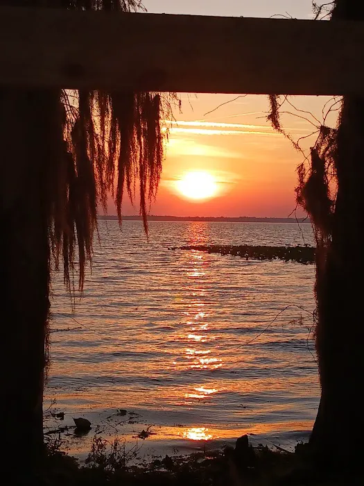 Lochloosa Harbor resort Picture 7