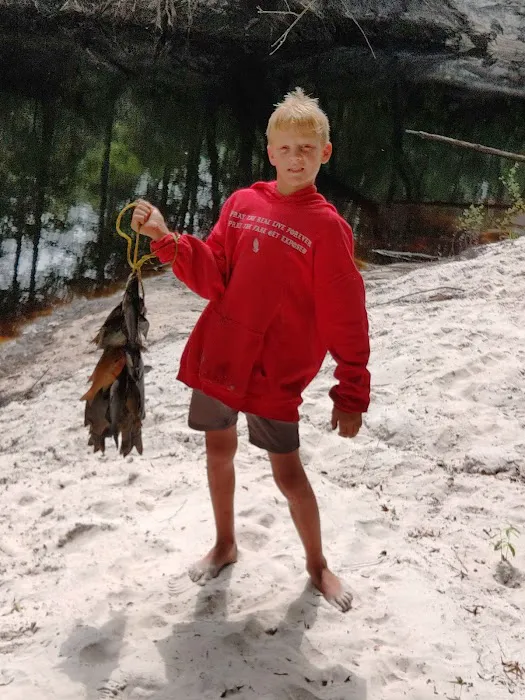 Georgia Bend RV Park Picture 2