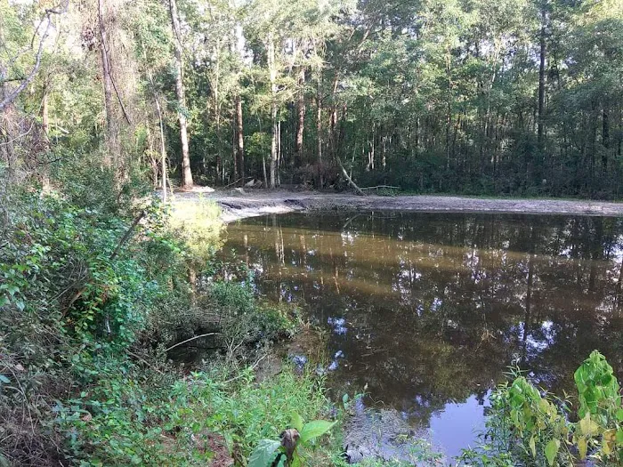 Georgia Bend RV Park Picture 4