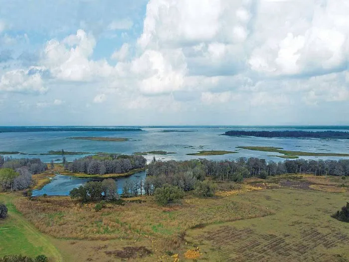 The RV Resort at Orange Lake Picture 10
