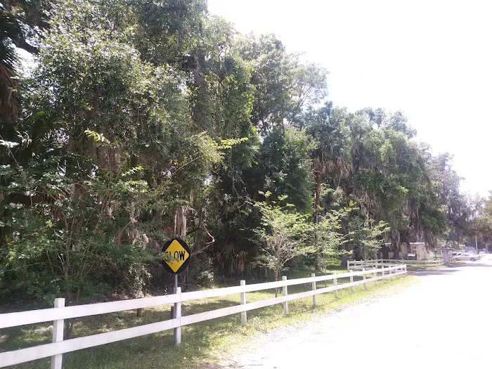 Sunny Oaks Picture 7