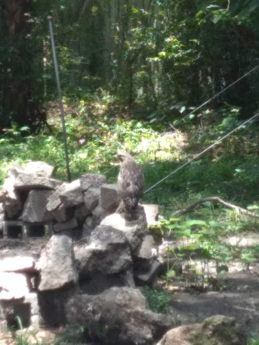 Sunny Oaks Picture 6