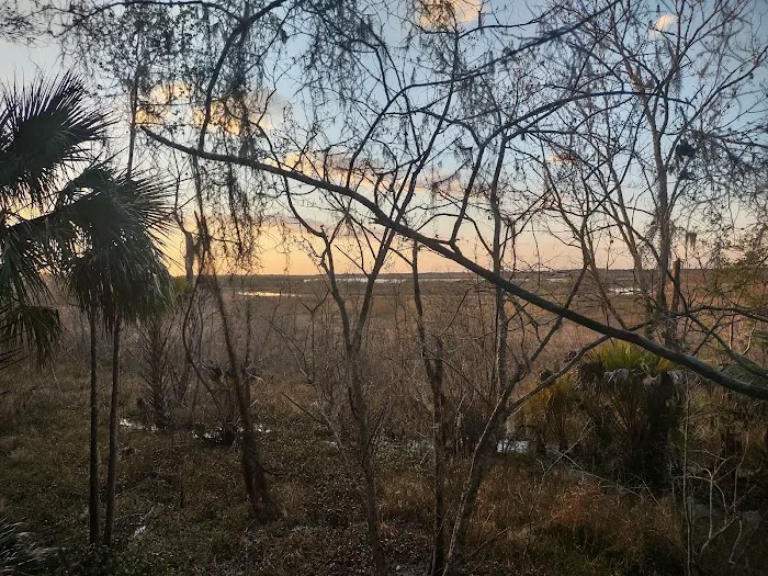 Citra Royal Palm RV Park Picture 2