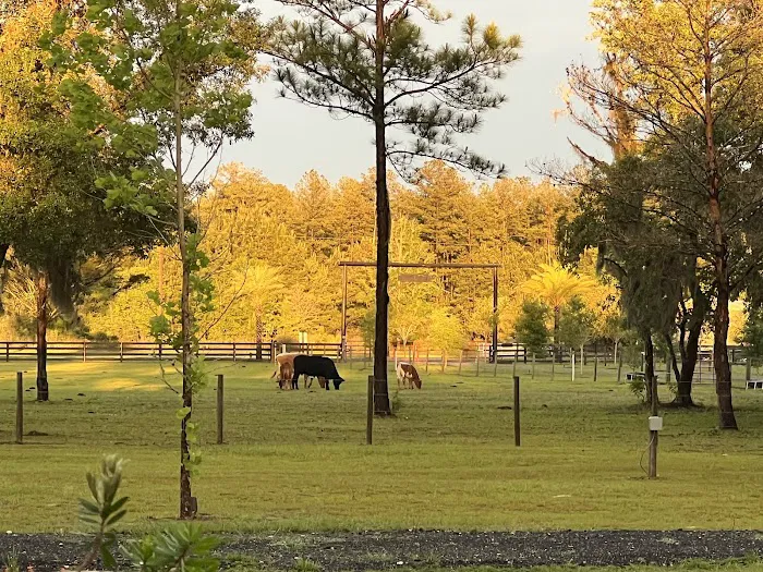 Edgewood Mobile Home Park Picture 4