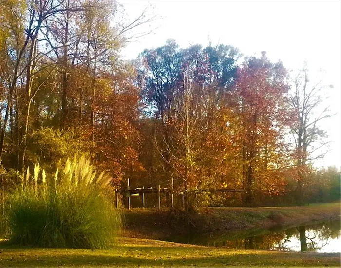 Belaire RV Park Picture 3