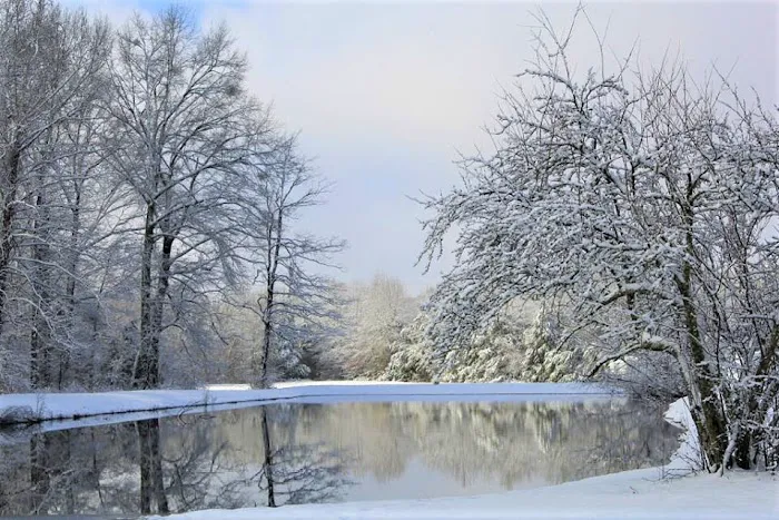 Belaire RV Park Picture 1