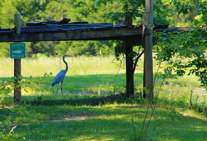 Belaire RV Park Picture 6