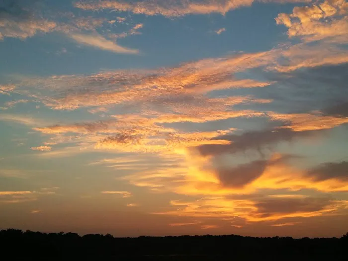 Nashville Ferry Landing Picture 2