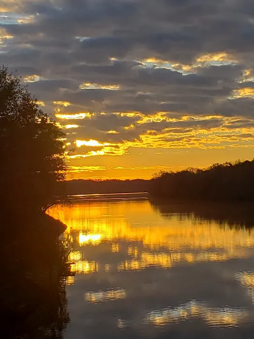 Nashville Ferry Landing Picture 4