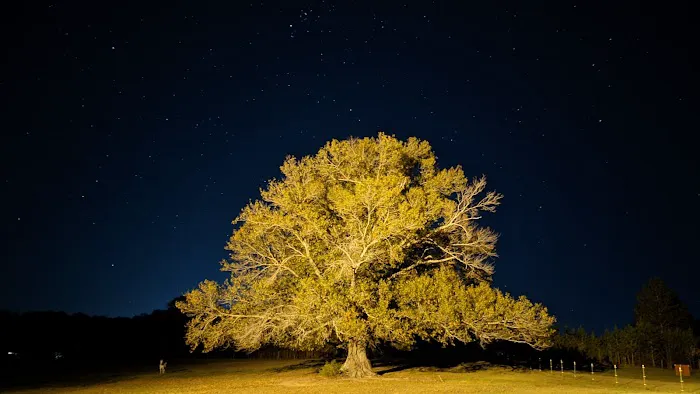 Jennlake Meadows Manufactured Home Community Picture 10