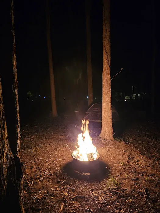 Fiedlerland RV Park & Campground Picture 4