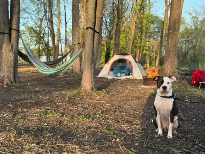 Fiedlerland RV Park & Campground Picture 5