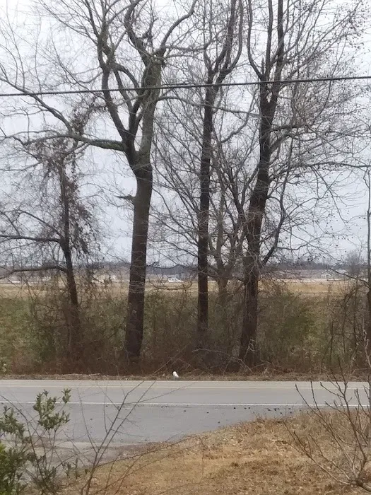 Lauren RV Park Picture 2