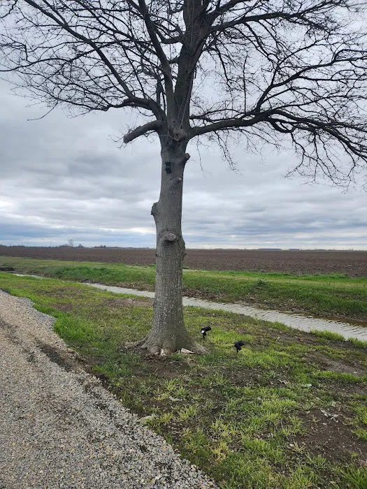 Corner RV Park Picture 4