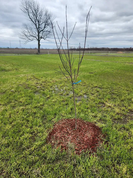 Corner RV Park Picture 8