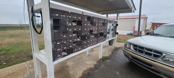 Buck Island Picture 7