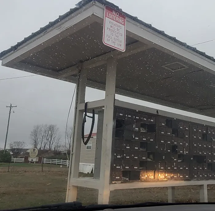 Buck Island Picture 8