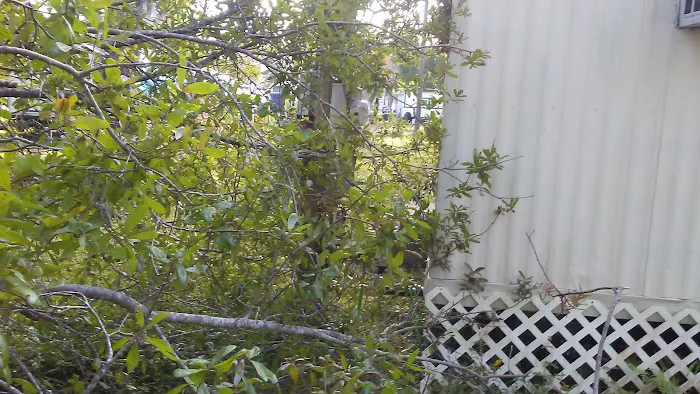 Napoli Mobile Home Park LLC Picture 9