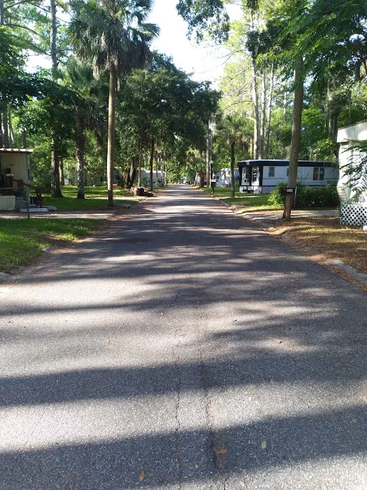 Silver Thunderbird Mobile Home Park Picture 3