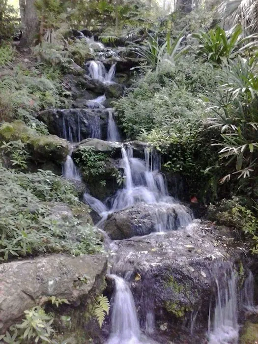 HOLIDAY TRAV-L- PARK Picture 10