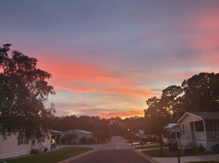 Cala Springs Mobile Park Picture 5