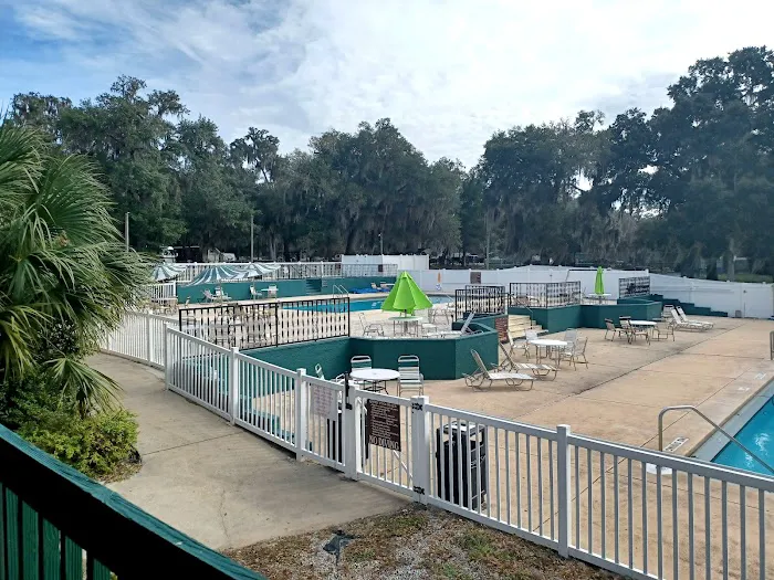 Salt Springs Resort Picture 3
