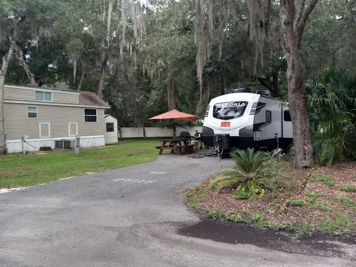 Salt Springs Resort Picture 6