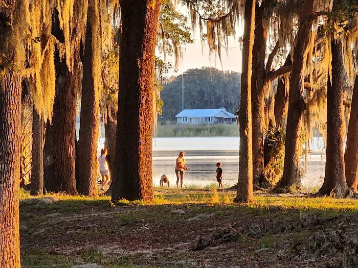 Salt Springs Resort Picture 4